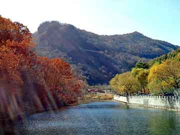 新澳天天开奖资料大全旅游团，天堂羽新书